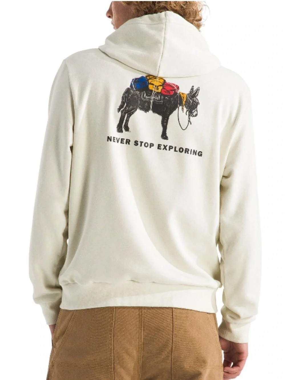 The North Face Men's Evolution Pack Graphic Hoodie